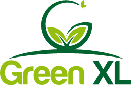 Merk Green XL